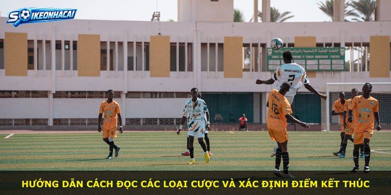 Hướng dẫn cách đọc các loại cược và xác định điểm kết thúc